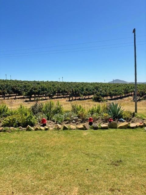 Foto 10: Cottage at Kanu Wines