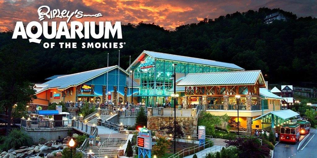 Fotografie 2: 32 in Gatlinburg! Petfriendly with Free tickets to Dollywood,Anakeesta,AquariumClose2Rockytop