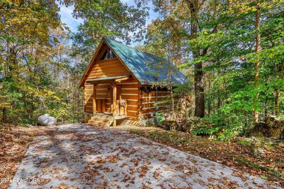 Billede 2: Knotty Pine