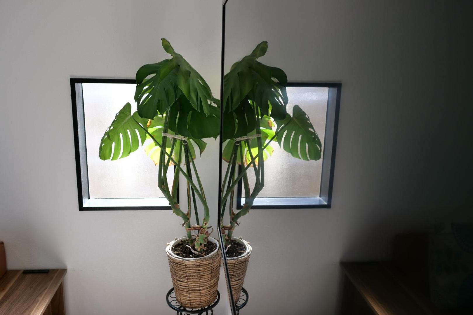 江津良別邸 photo 10