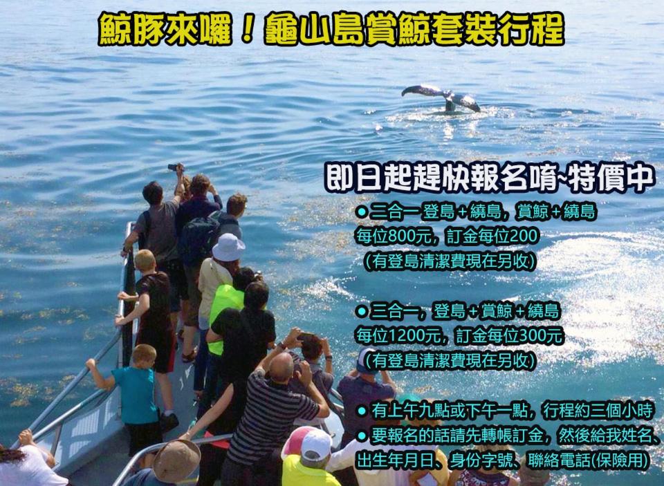 Foto 2: 頭城溫旅無邊際泳池の宅