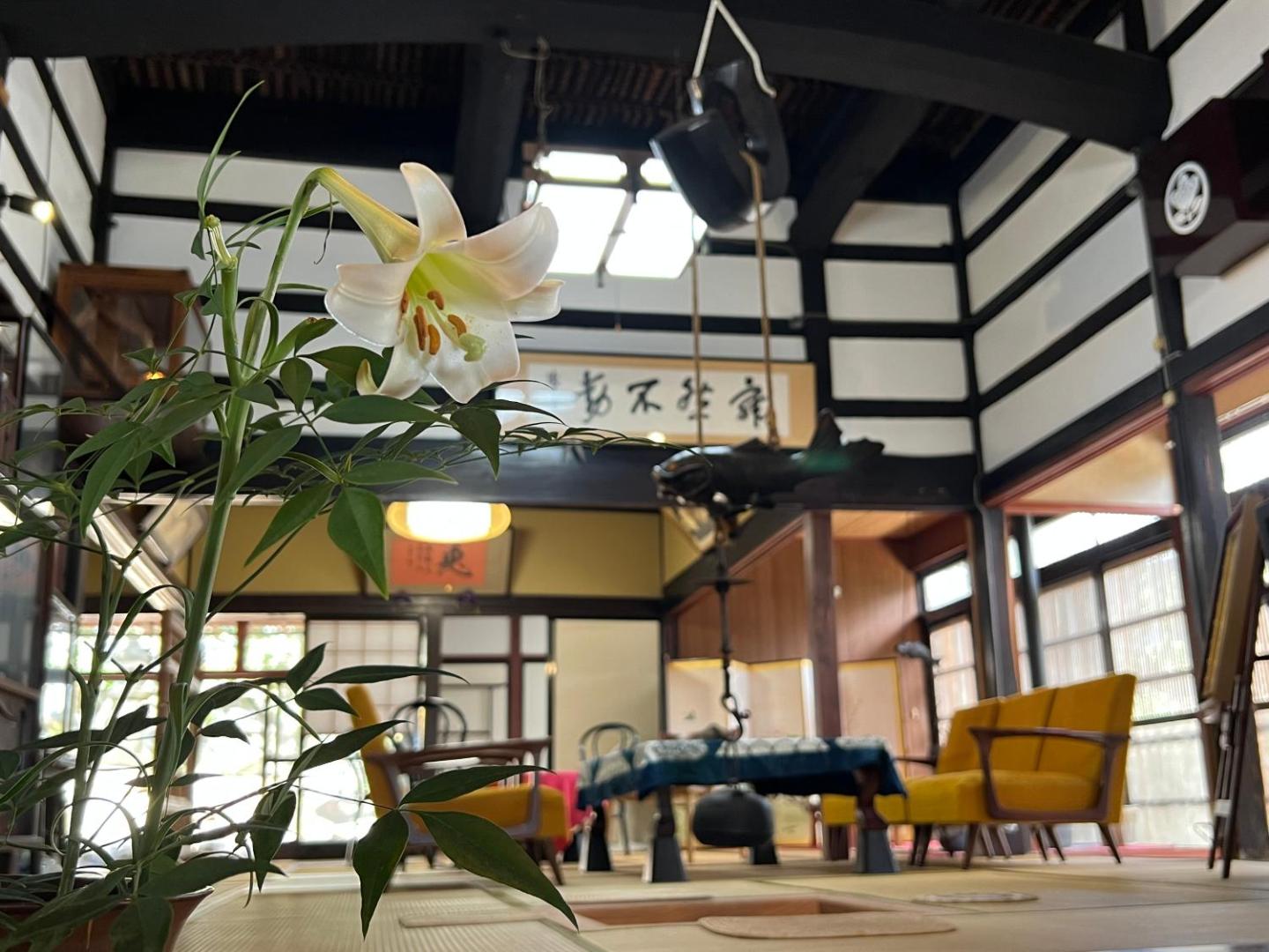 Foto 6: はたご屋ちゅうべ