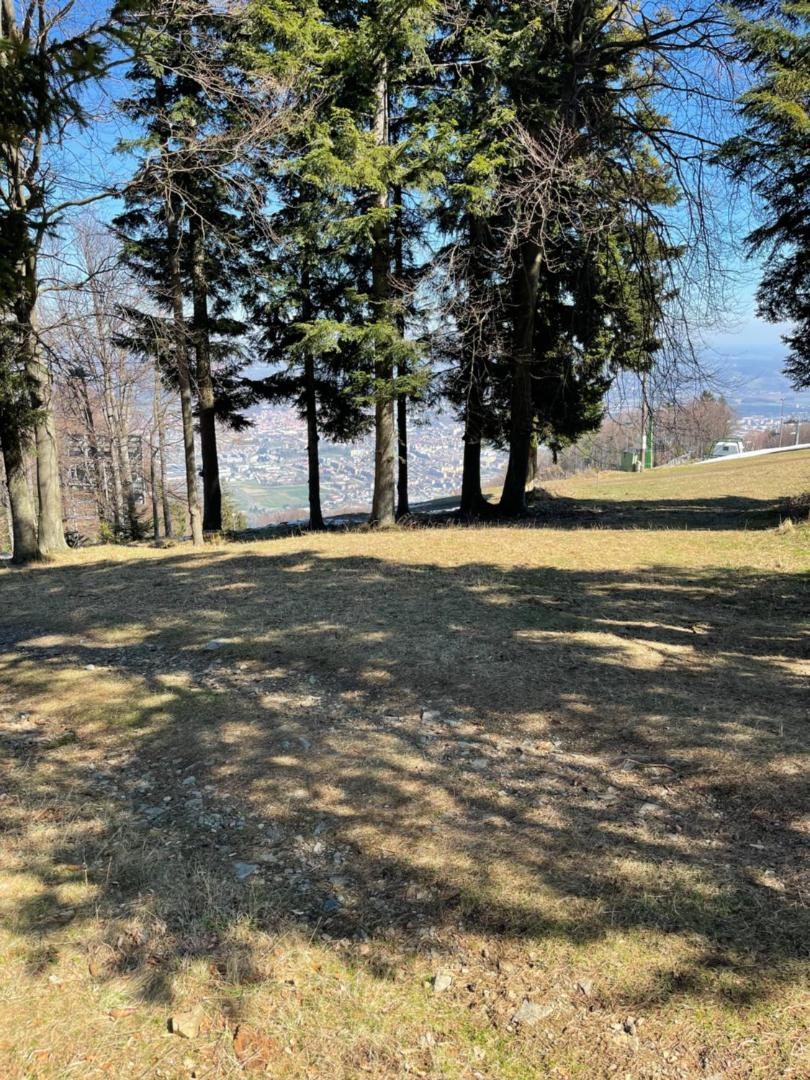 Billede 10: Friendly cottage on hill Pohorje Maribor in nature