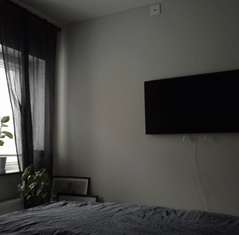 Studio - central and close to nature photo 3