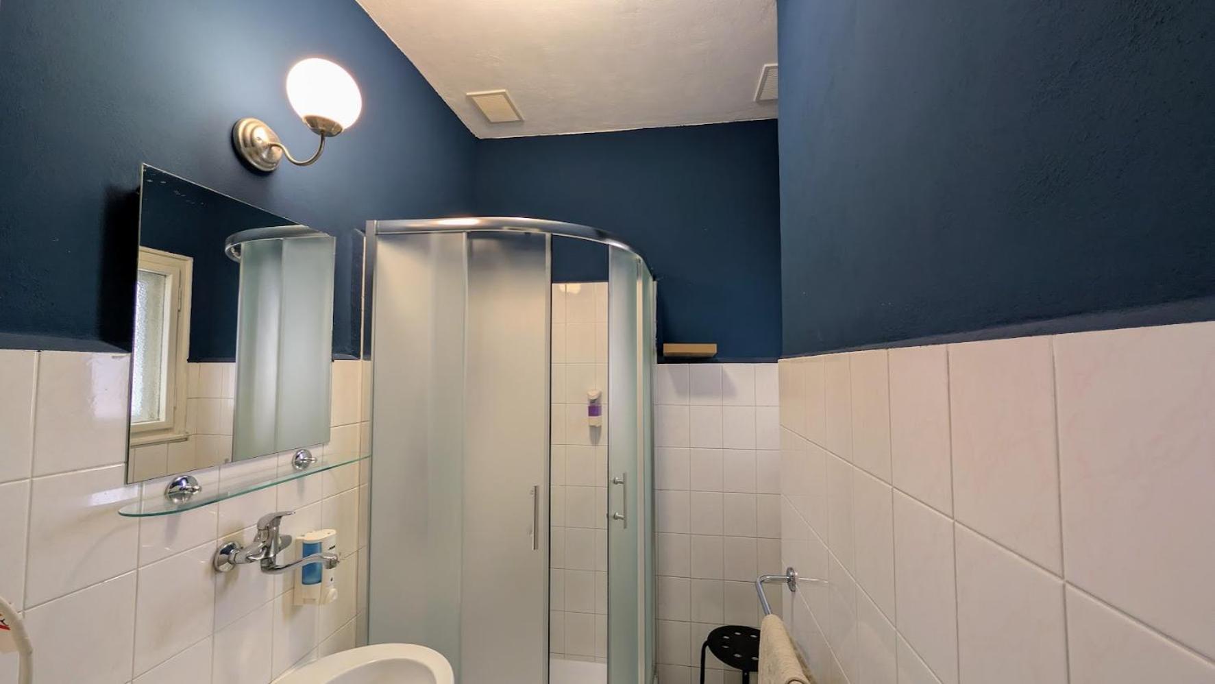 Φωτογραφία 8: Flat in Zizkov -302-