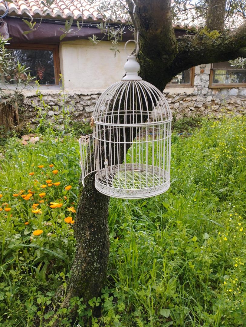 Φωτογραφία 6: Sofias cottage