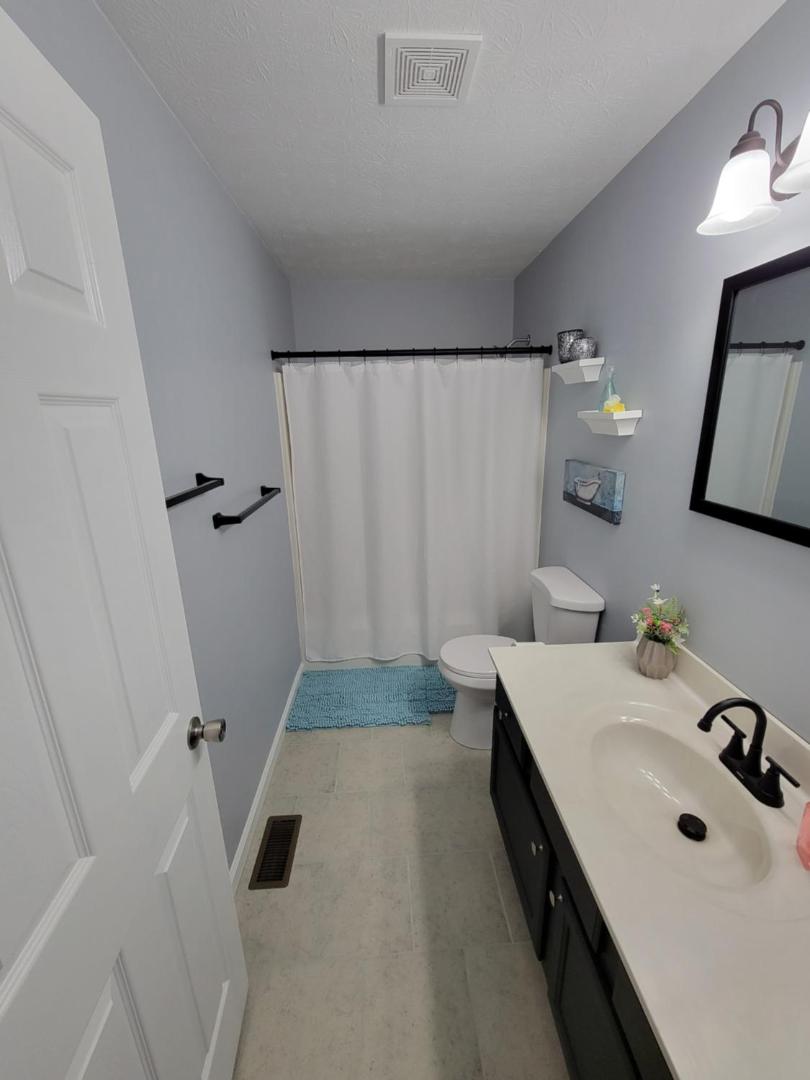Bilde 10: The Third Monkey
