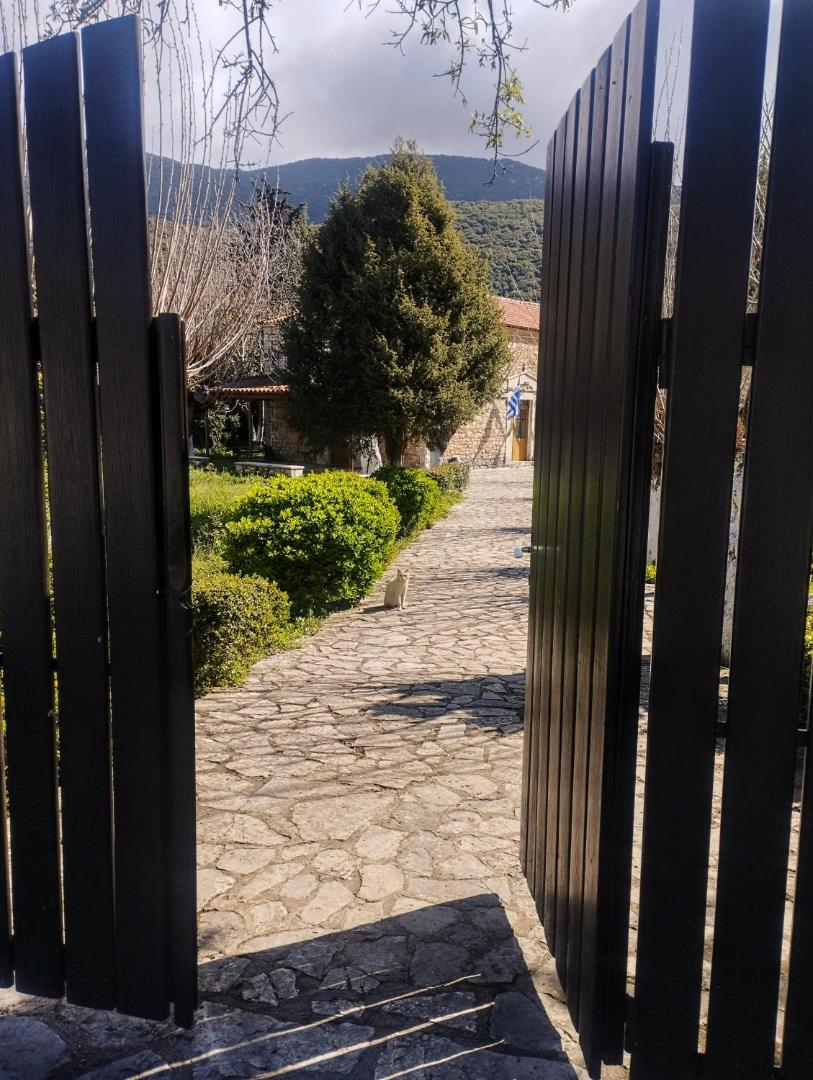 Φωτογραφία 3: Sofias cottage