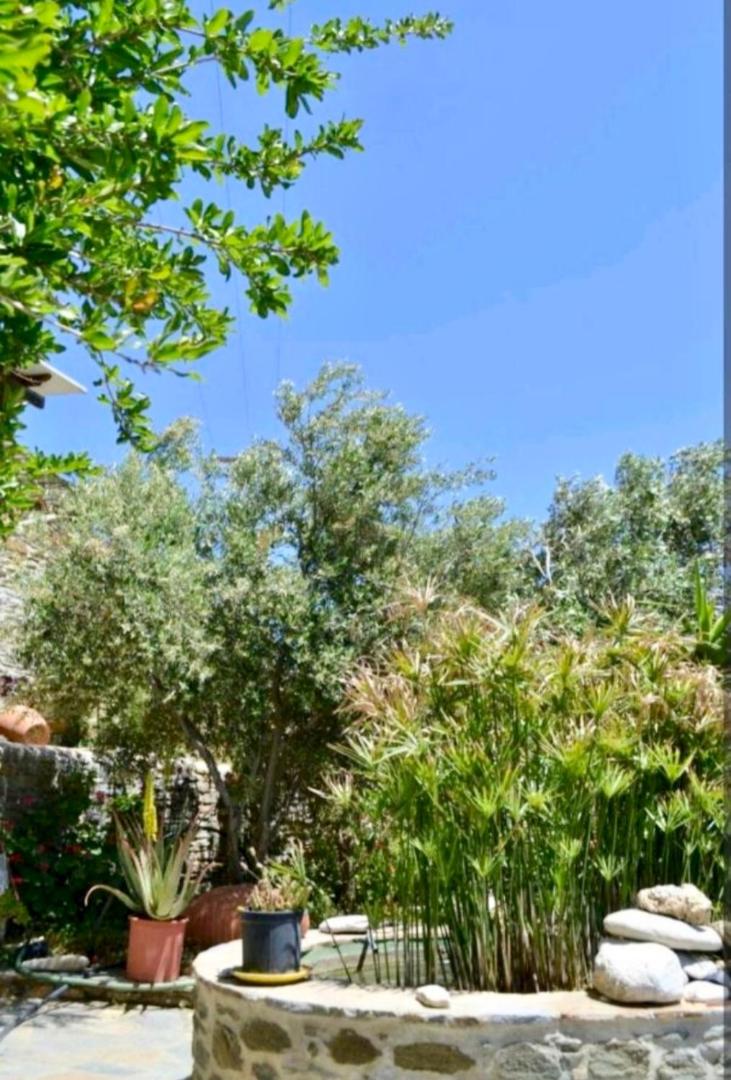 Foto 2: Πέτρινο