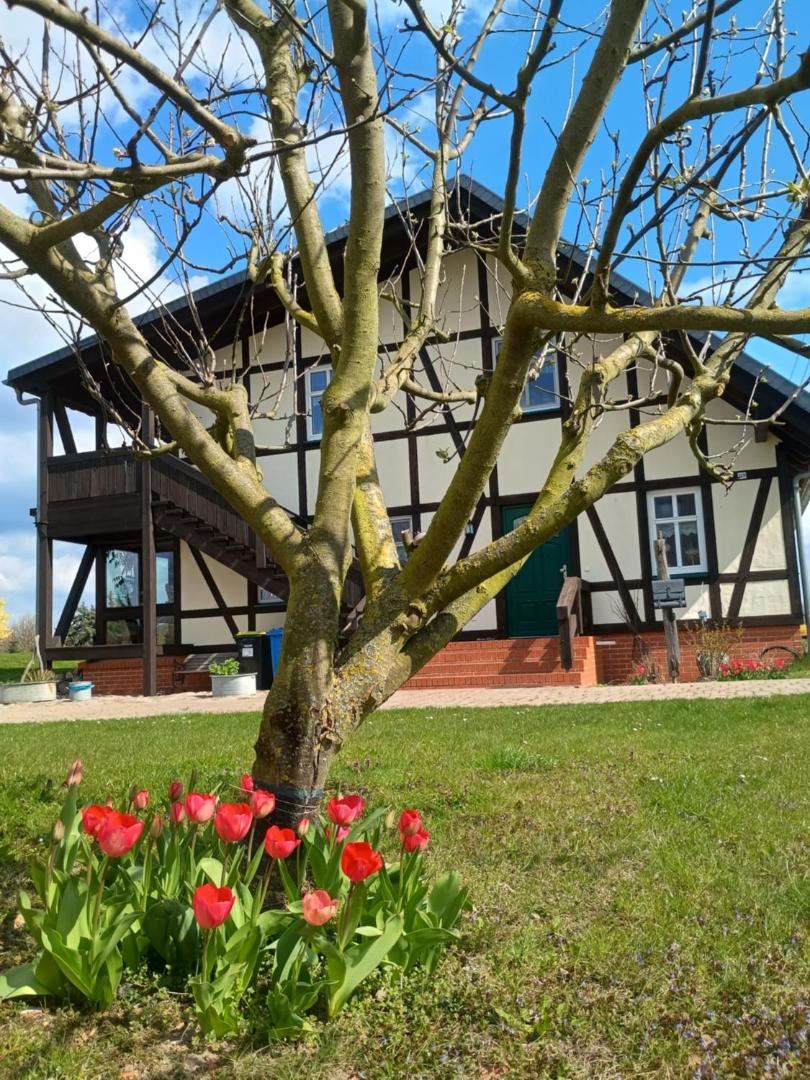 Bild 2: Oderbruchhütte