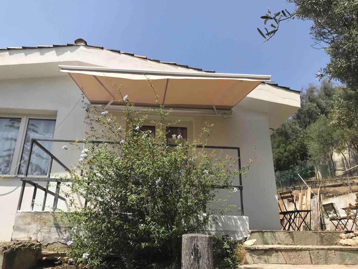 Fotografia 9: Villa Sofia