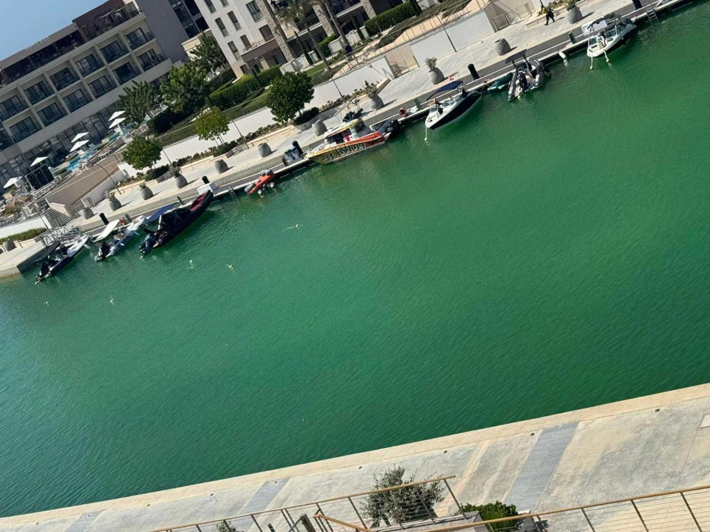 مراسي的照片9