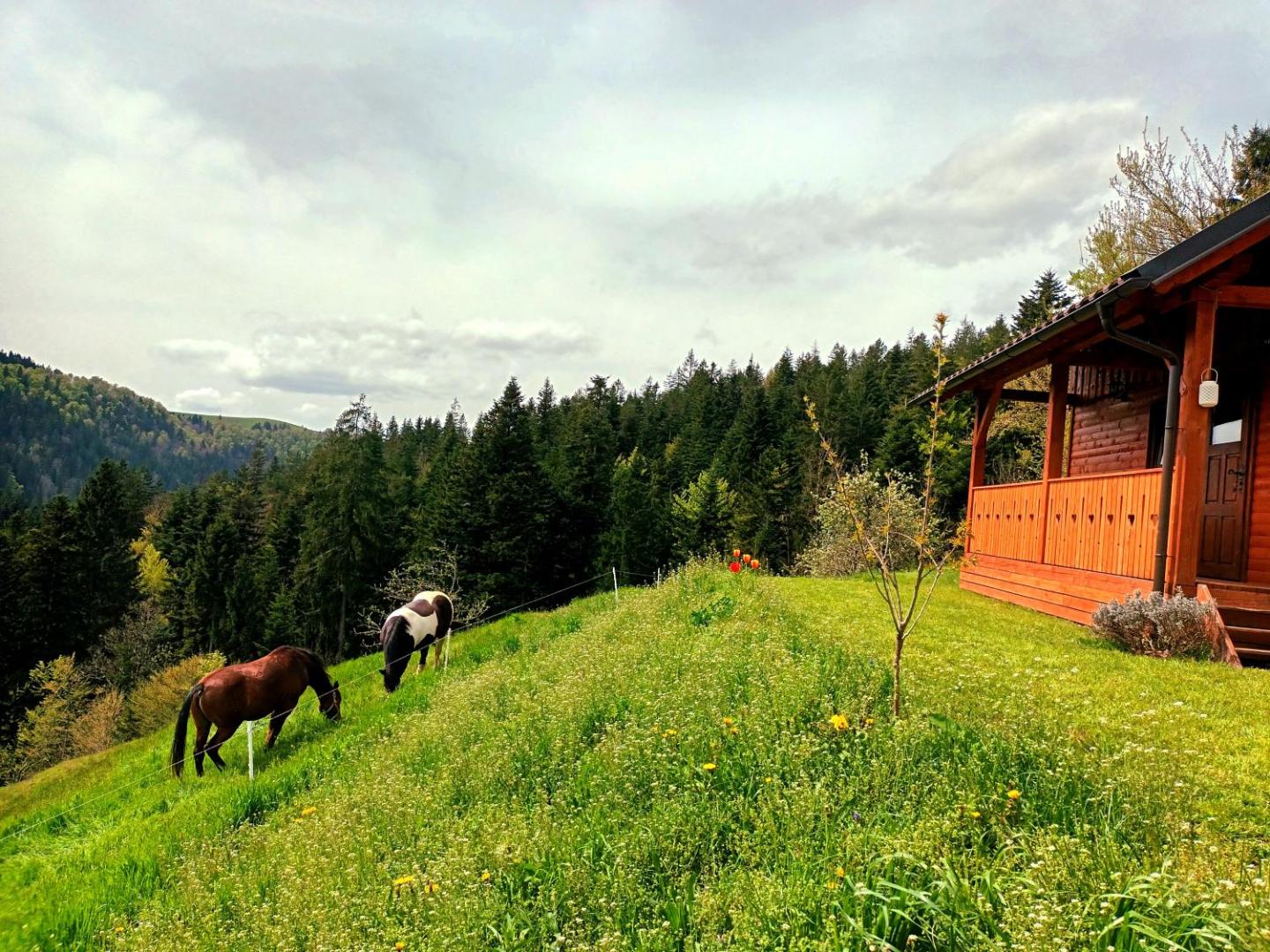 Foto 2: Tiny house