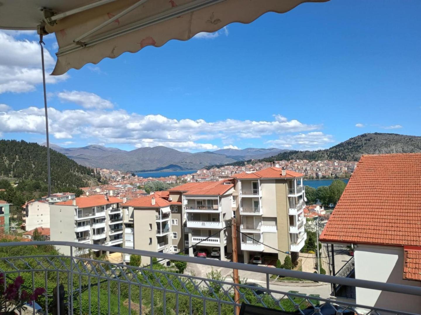 Foto 5: Αλόη