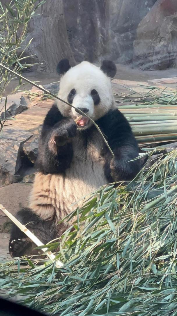 Zdjęcie 10: 拇指園民宿
