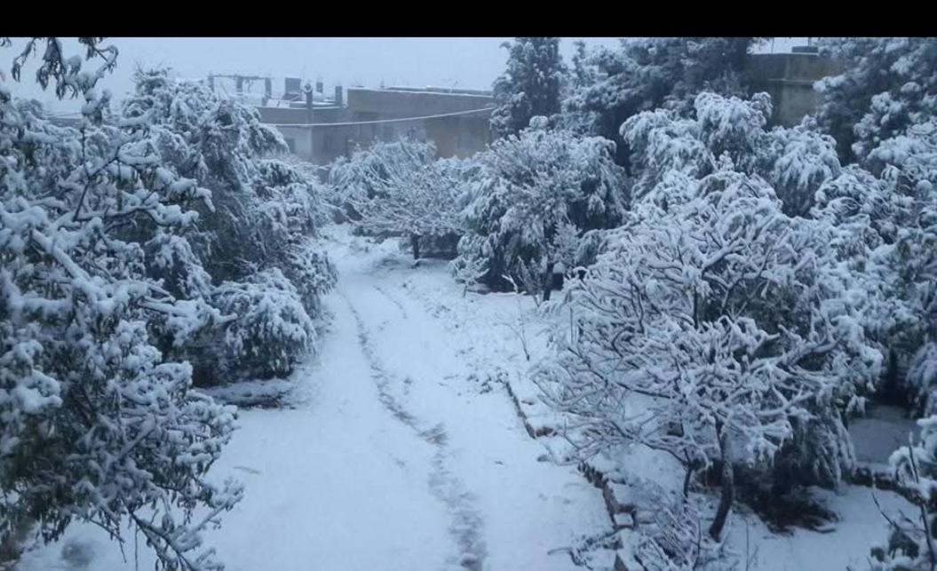 الاردنの写真5