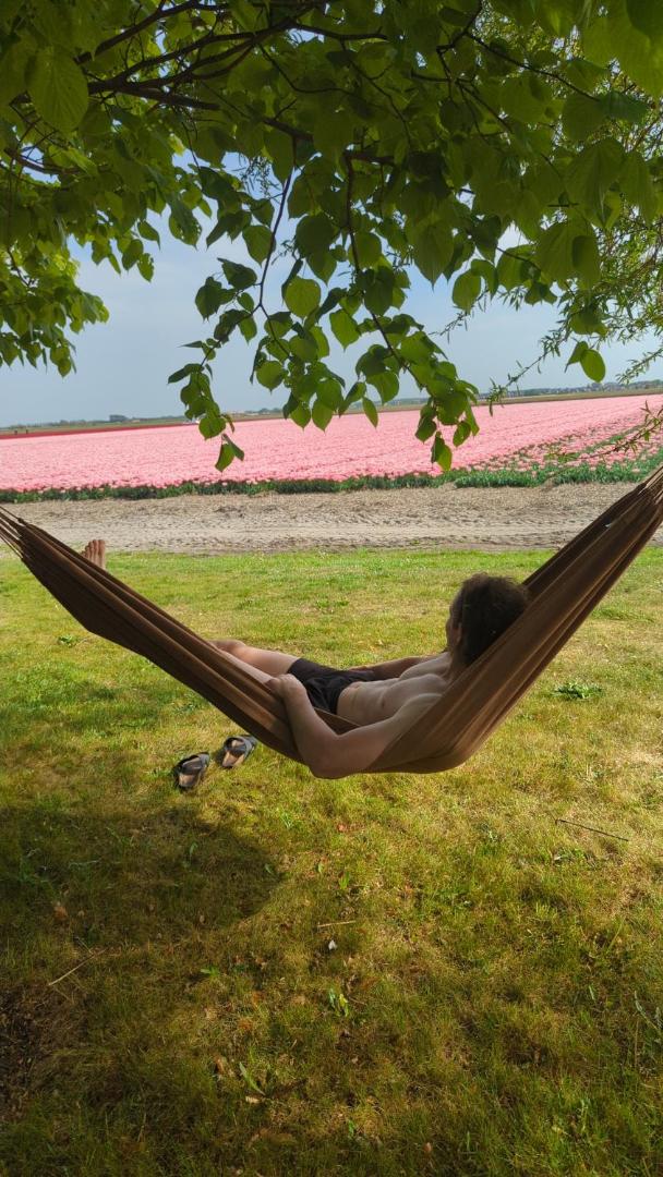 Zdjęcie 7: empty spot on grass Camping The Tulip no beds