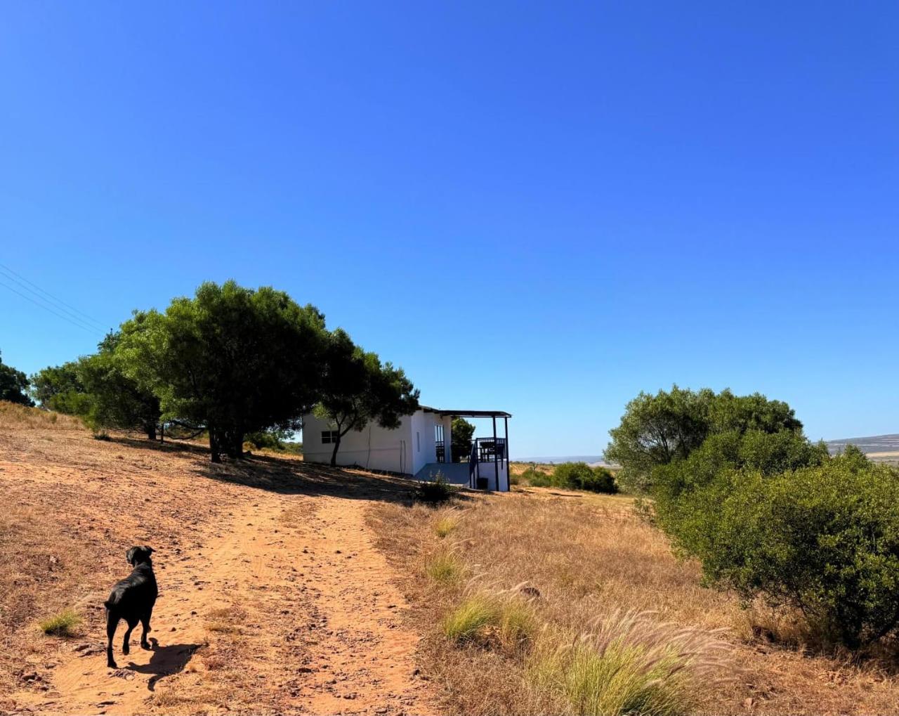 Fotografia 7: Grootfontein, Graafwater