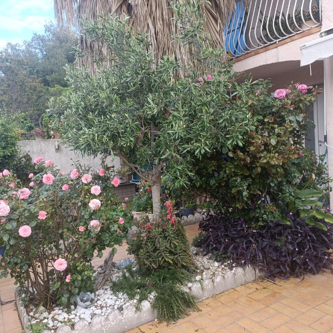 Foto 2: Studio clair, climatisé avec jardin et parking