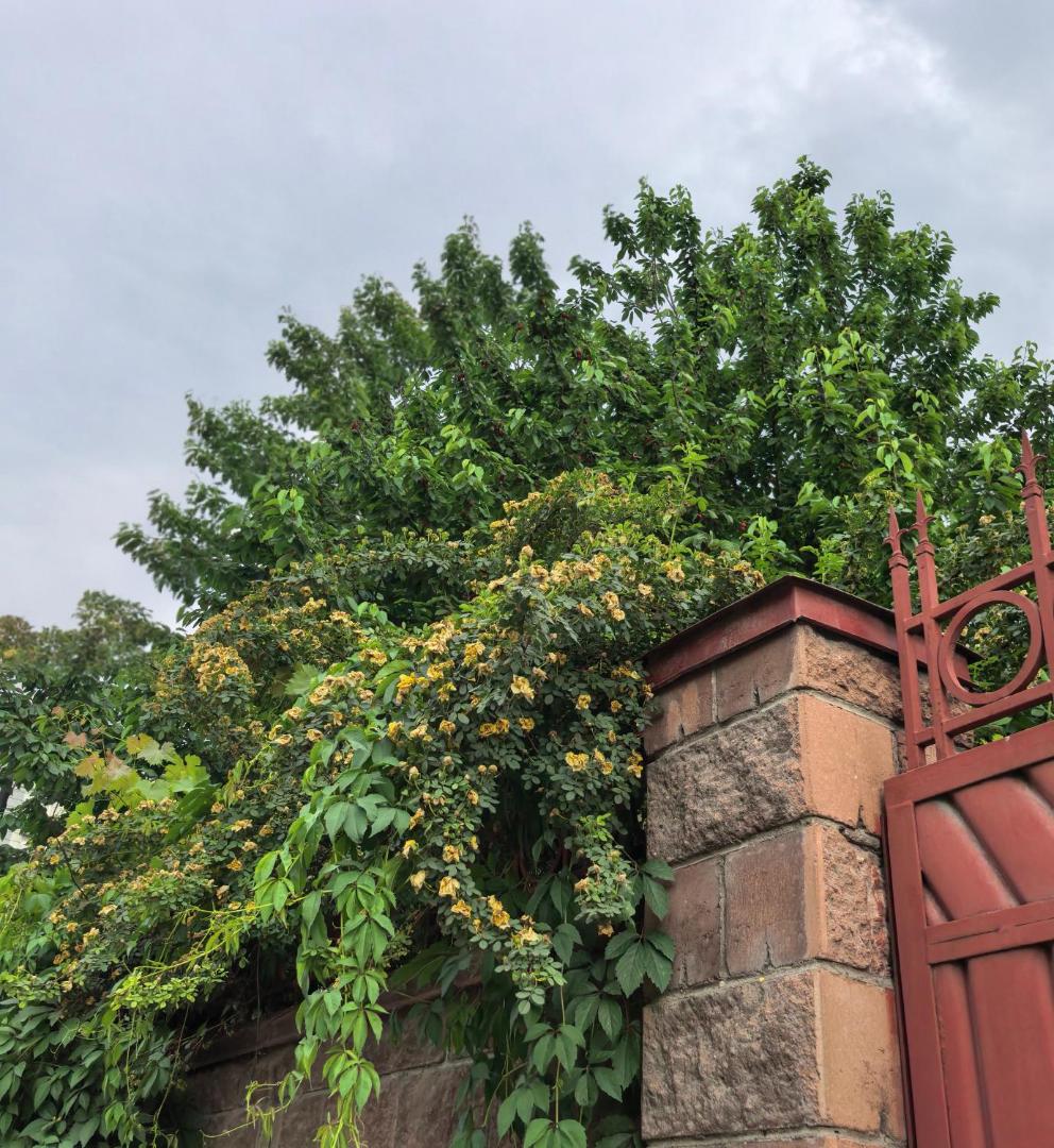 Foto 10: 留学生之家