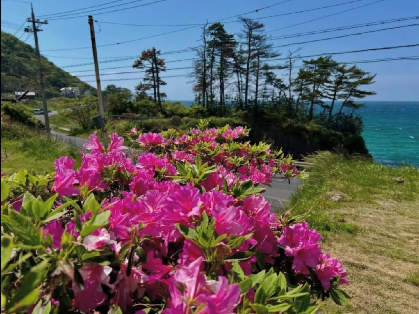 Bilde 9: レンタルコテージサントロペ