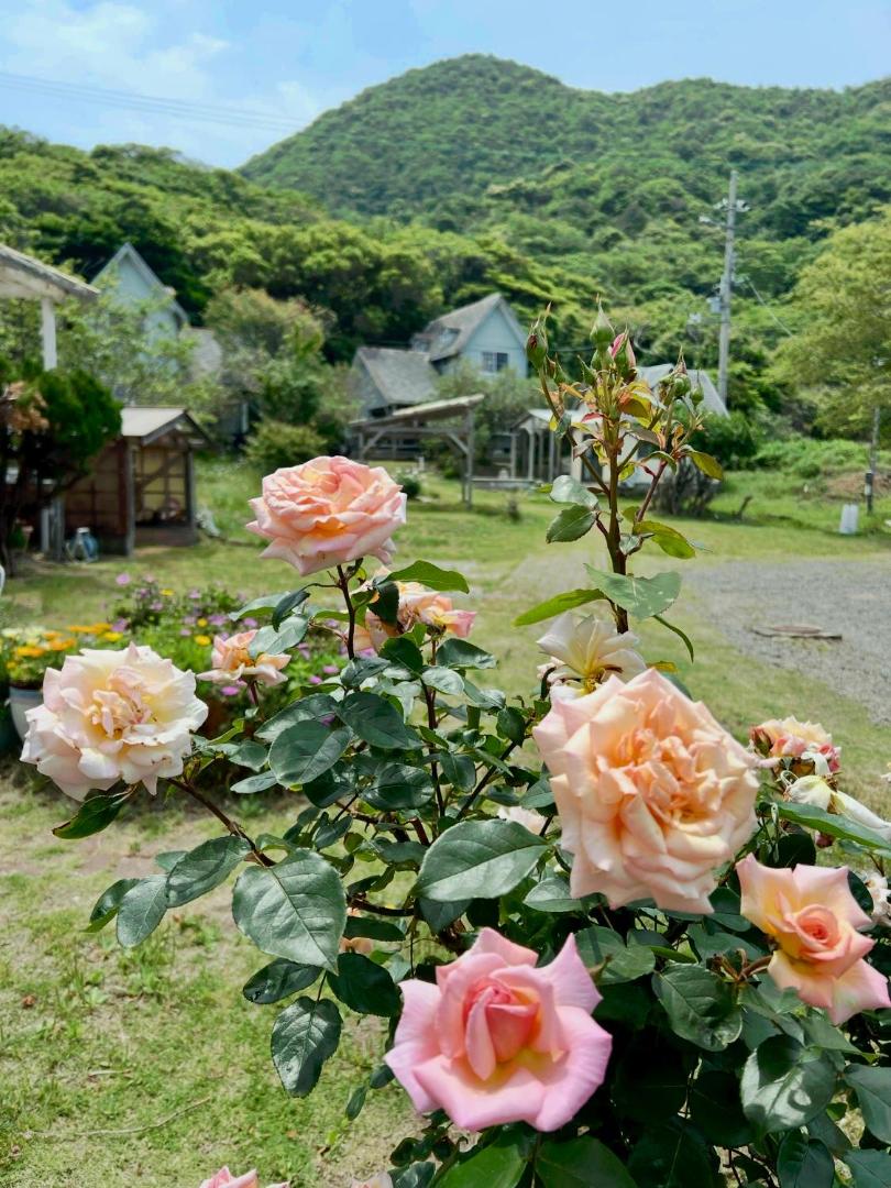 Bilde 7: レンタルコテージサントロペ