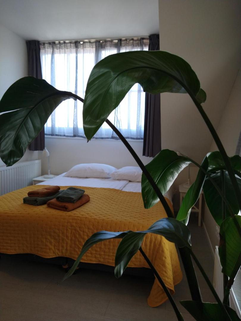 Bed & Brasserie Het Kosthuysの写真6