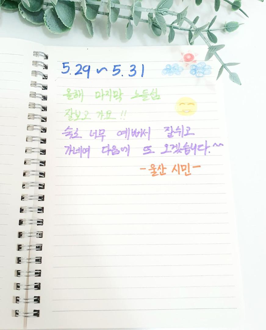 Fotografie 6: 노들썬스테이