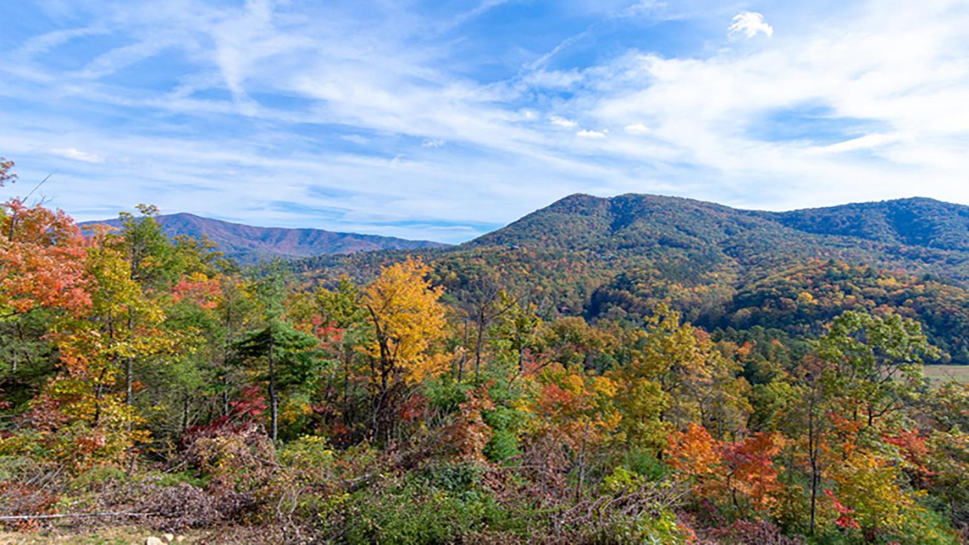 Billede 6: Summit View by Venture Smoky Mountains