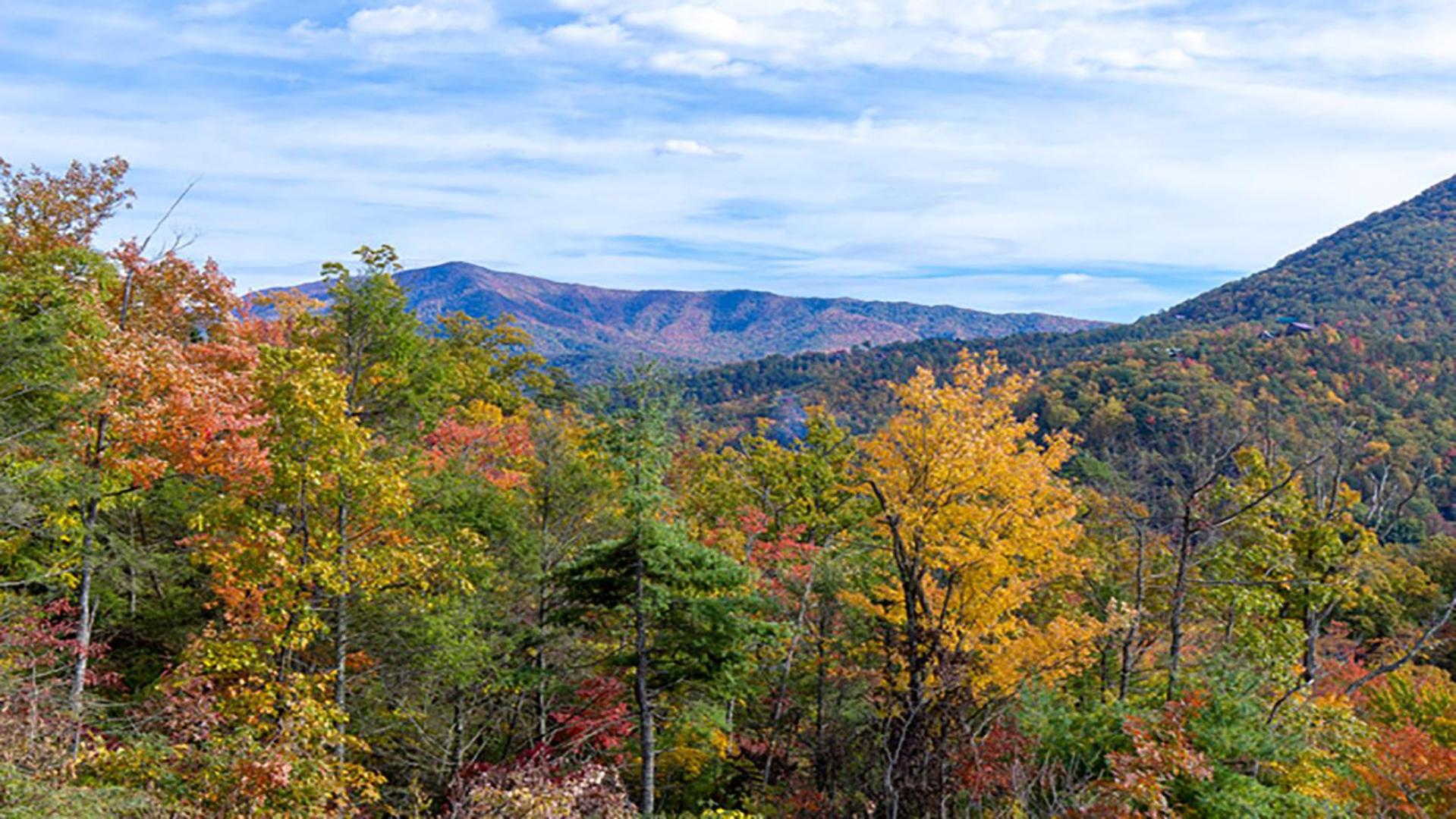 Billede 7: Summit View by Venture Smoky Mountains