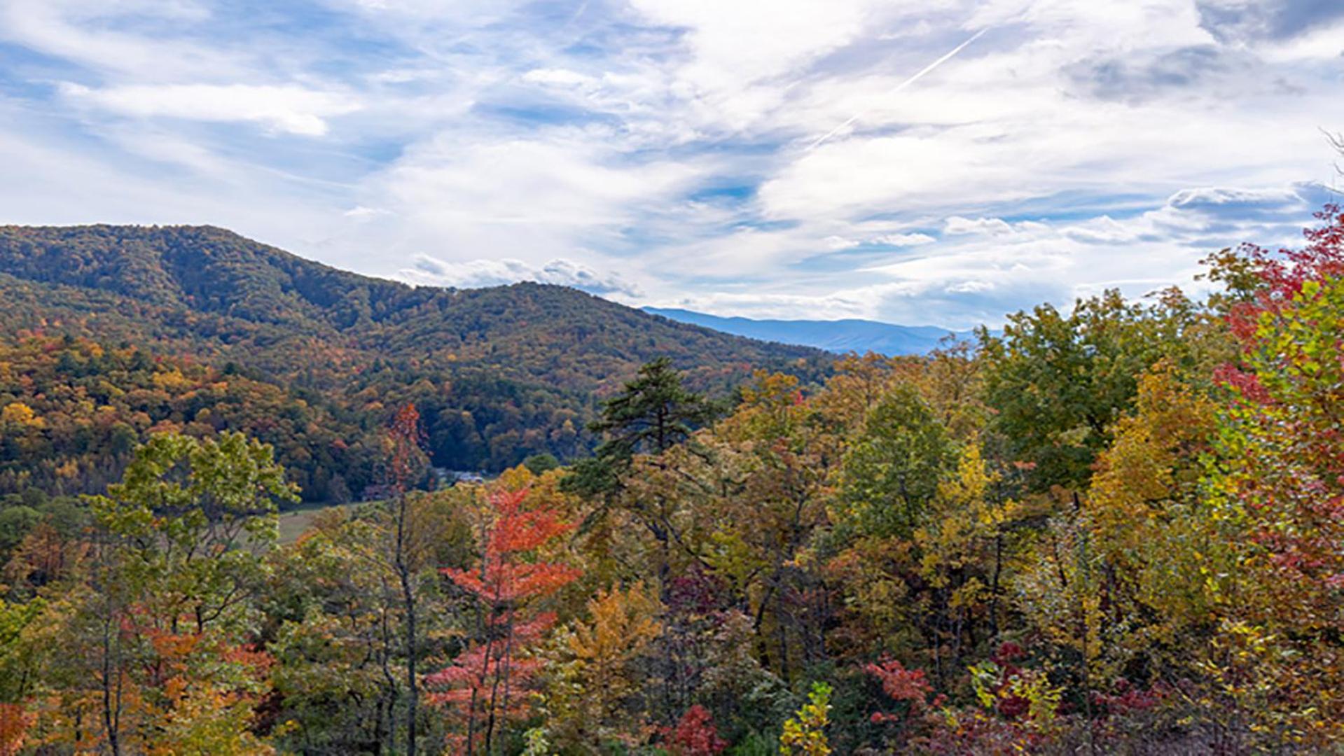 Billede 8: Summit View by Venture Smoky Mountains