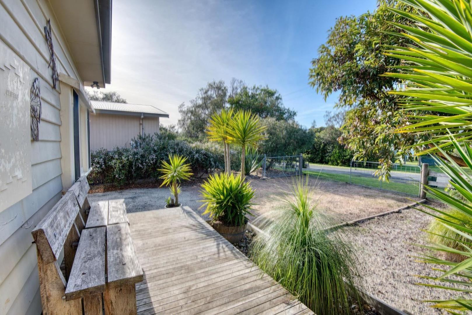 Summer Raysの写真11