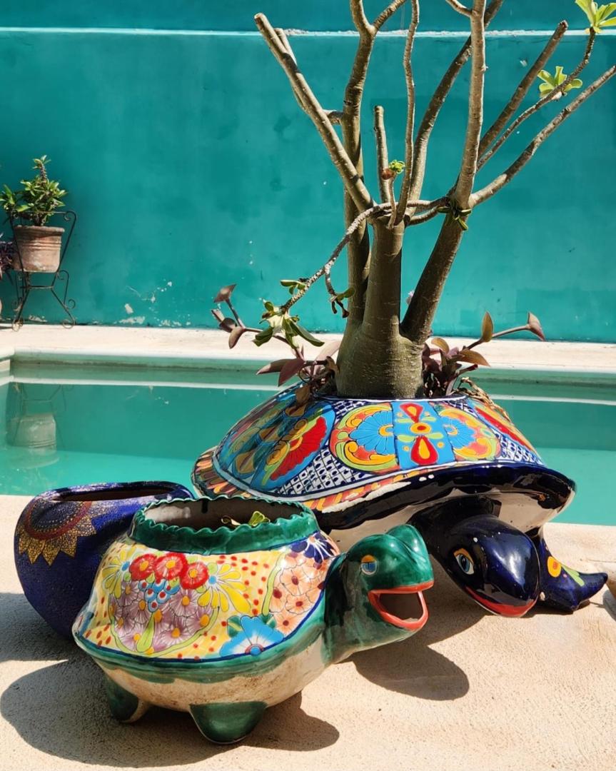 Pool, garden and colonial charm!の写真4