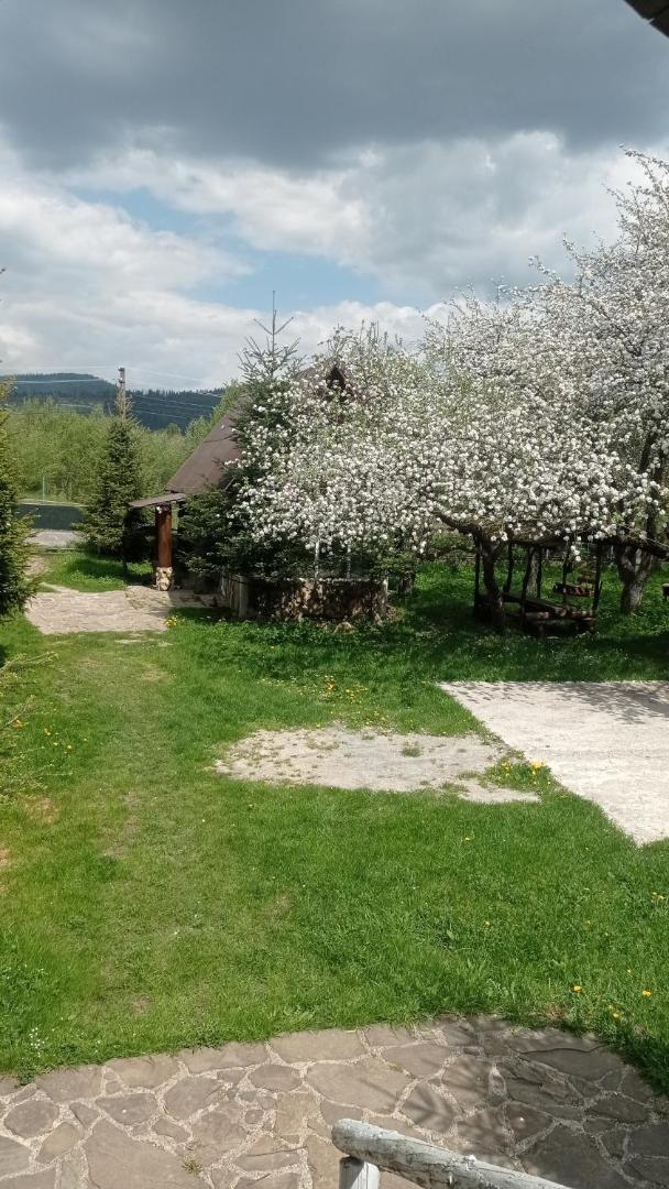Photo 4 : Колорит