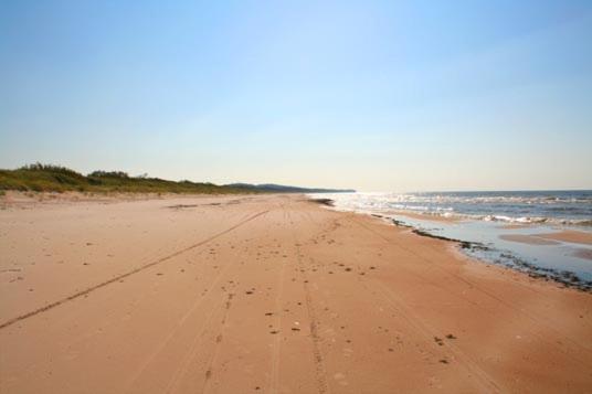Foto 2: Baltic Pine