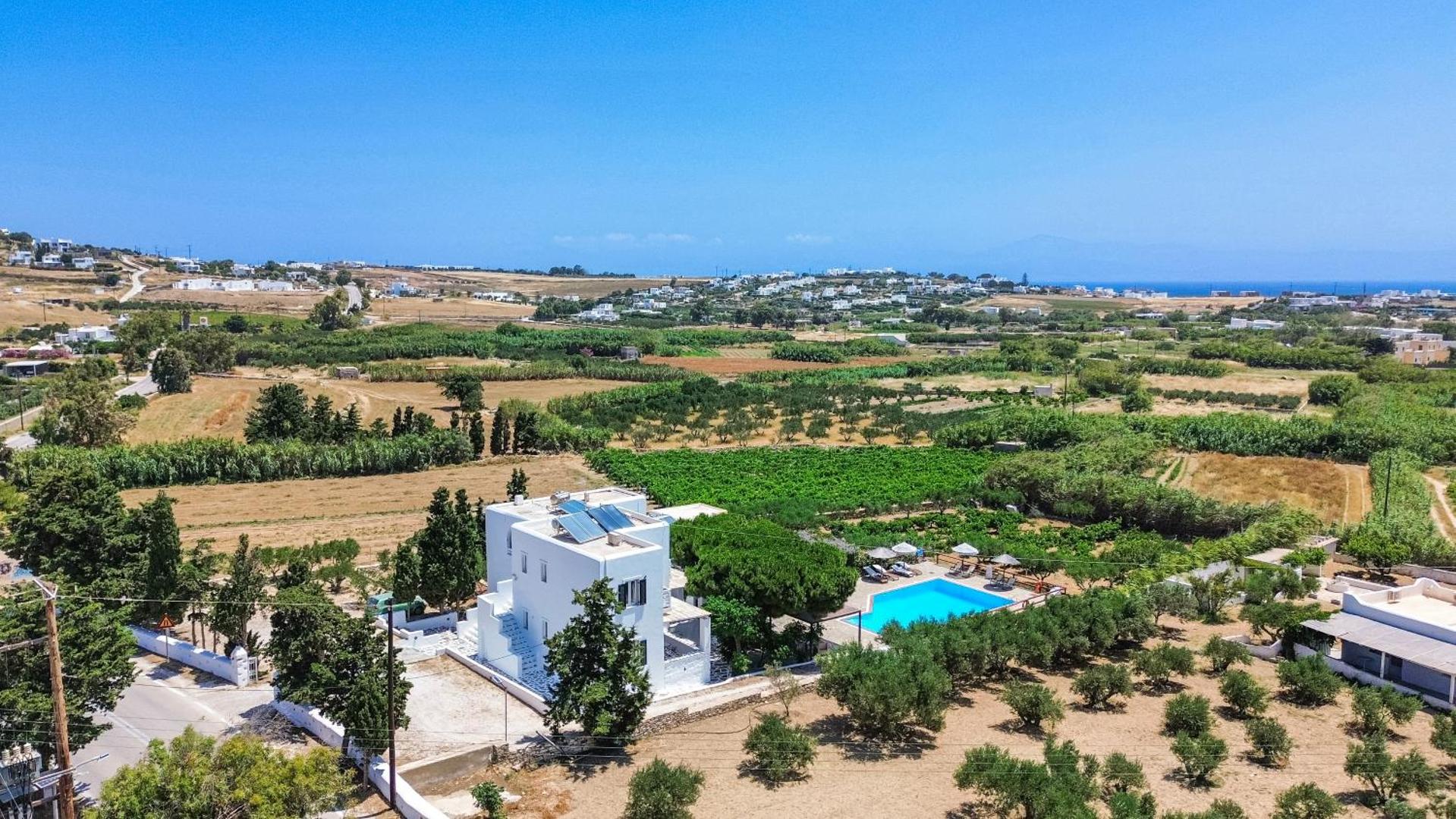 Fotografie 3: Tzane Studios & Apartments - Steps away from Golden Beach