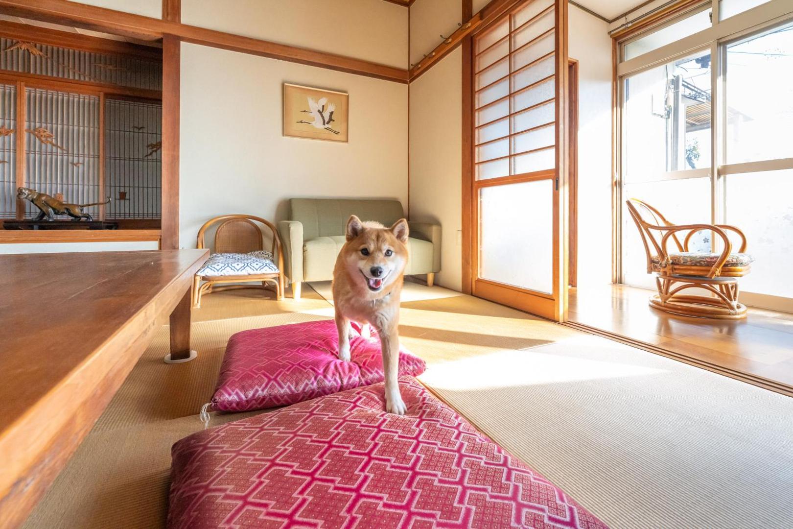 Photo 3 : 古民家民泊ーよかよー