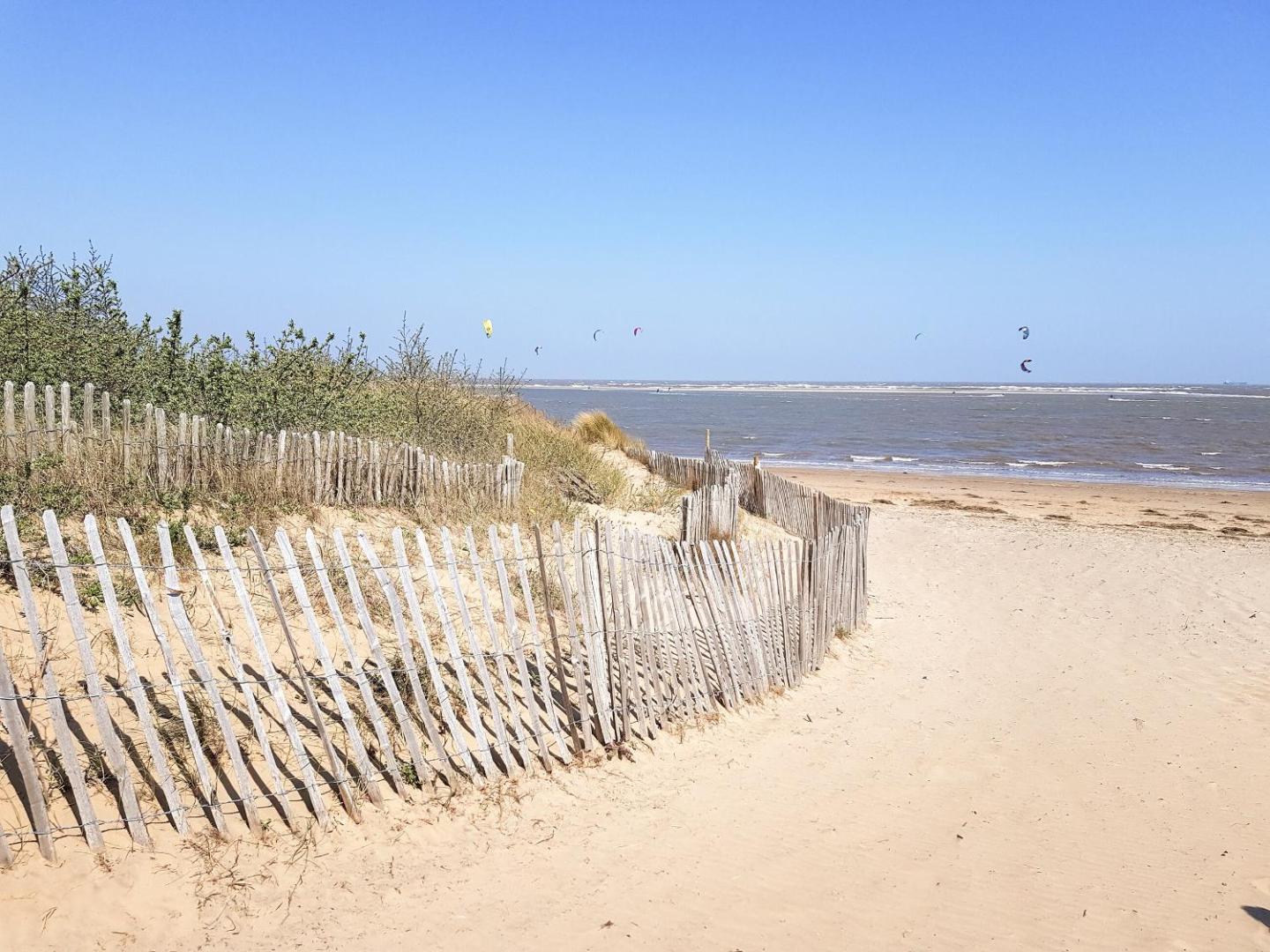 Billede 7: Beach & Tonic
