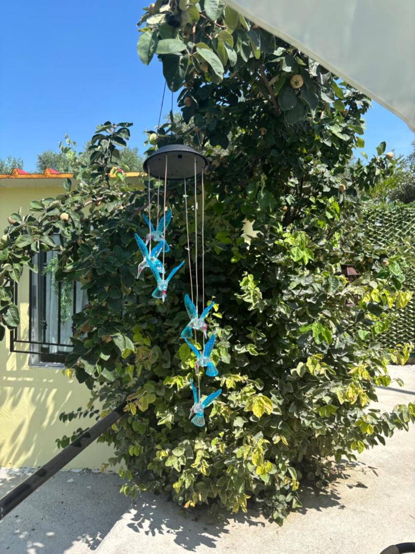Foto 7: ΚΛΕΟΠΑΤΡΑ