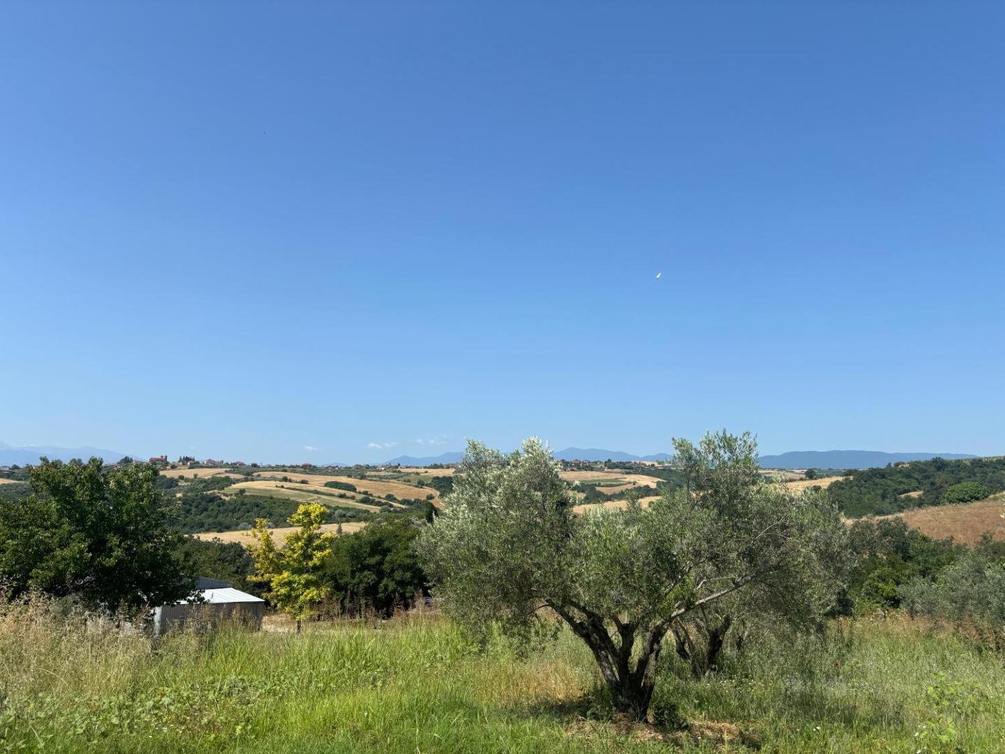 Foto 8: ΚΛΕΟΠΑΤΡΑ
