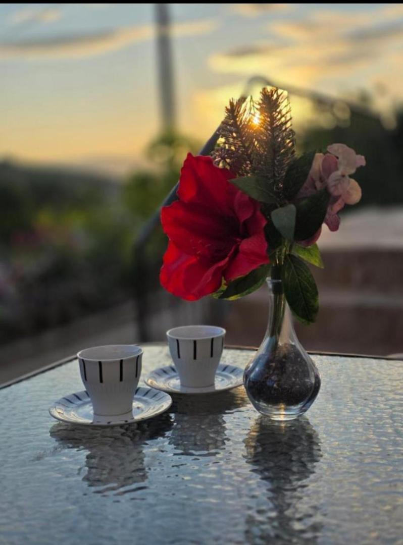 Φωτογραφία 2: App VITO