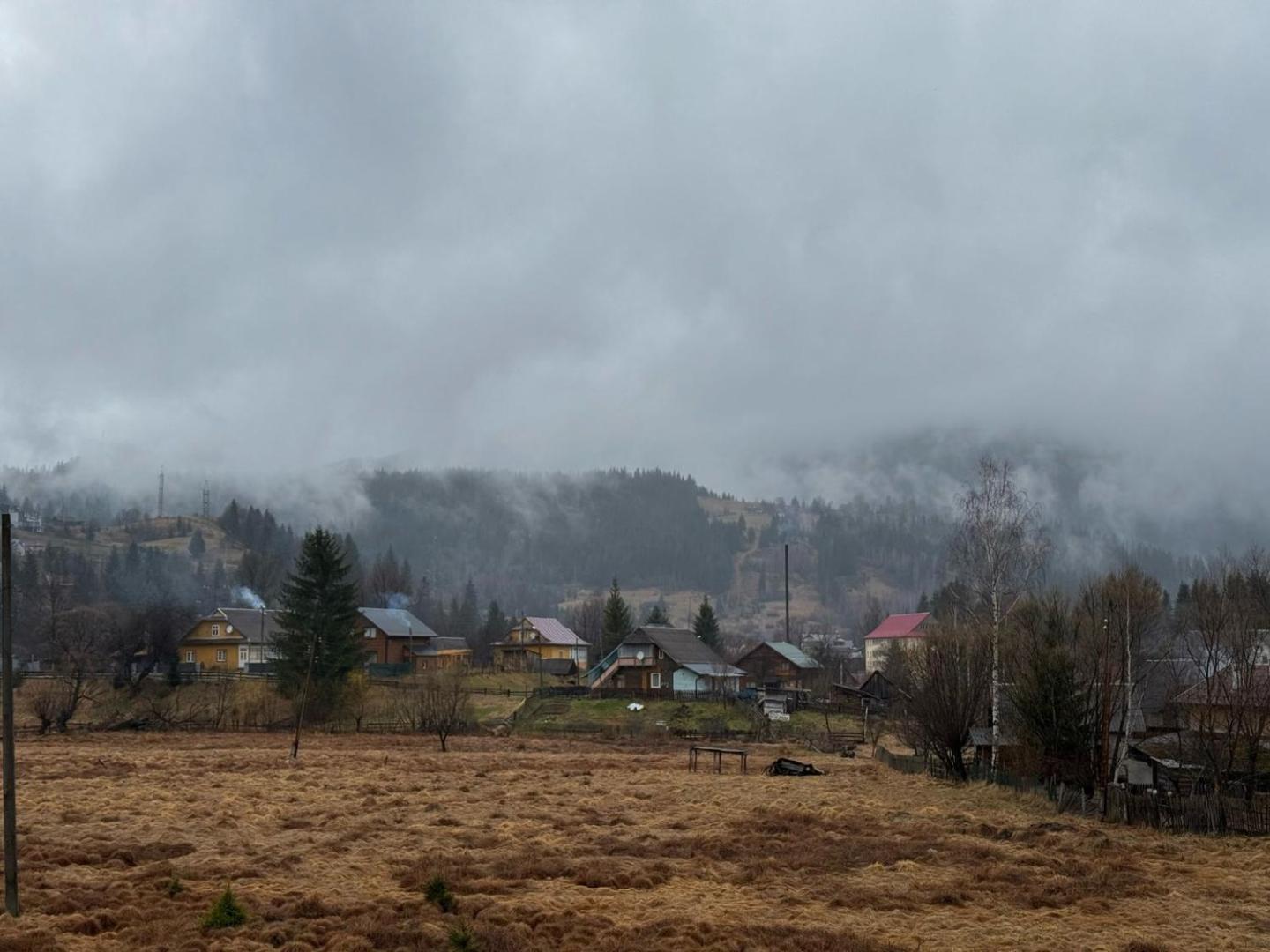 Foto 10: Іній