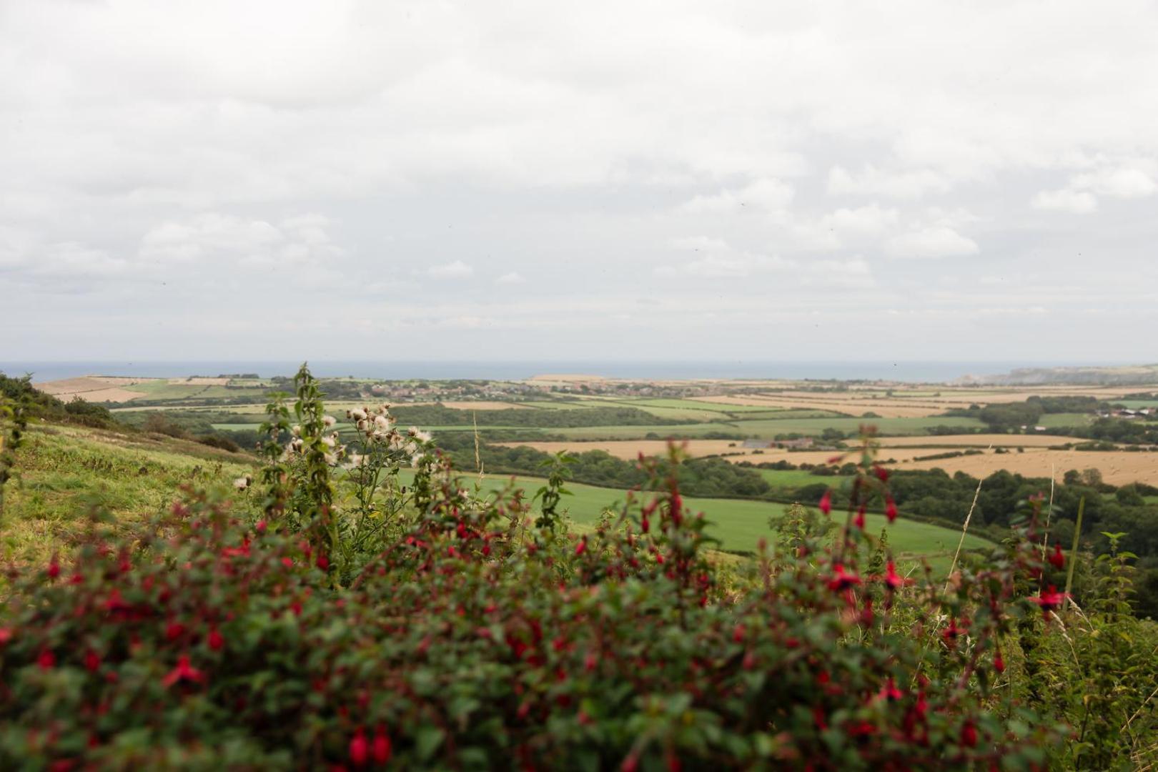Billede 2: Rosecombe, Borrowby Farm Cottages