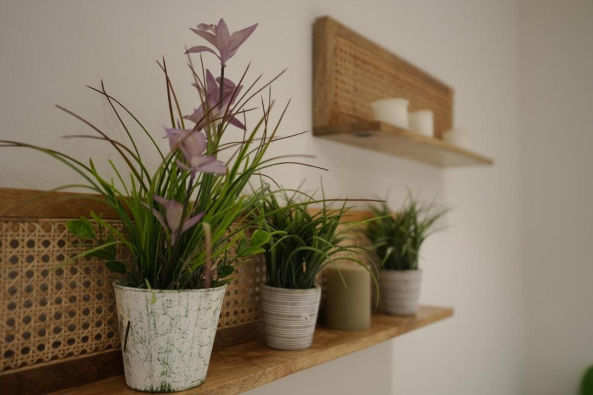 Foto 5: Studio with Private Entrance - 8A