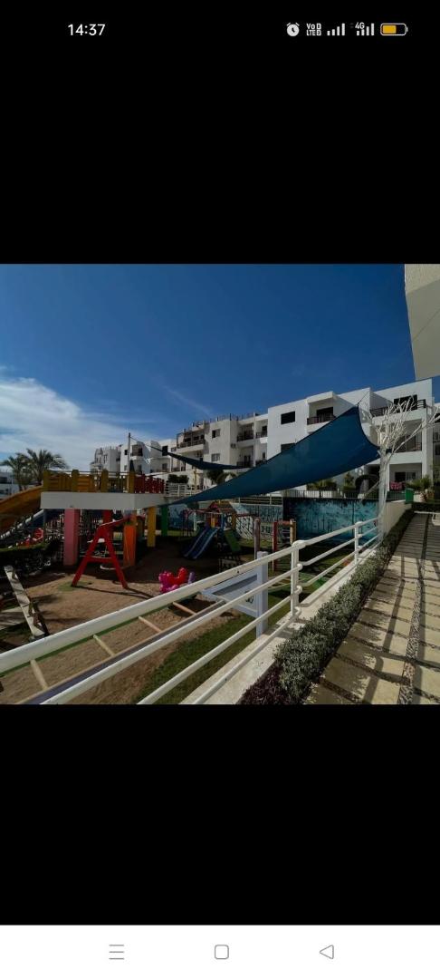 Billede 4: Studio102 in Naama bay