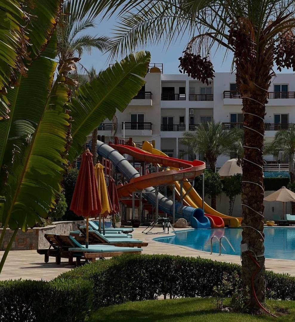 Billede 2: Studio102 in Naama bay