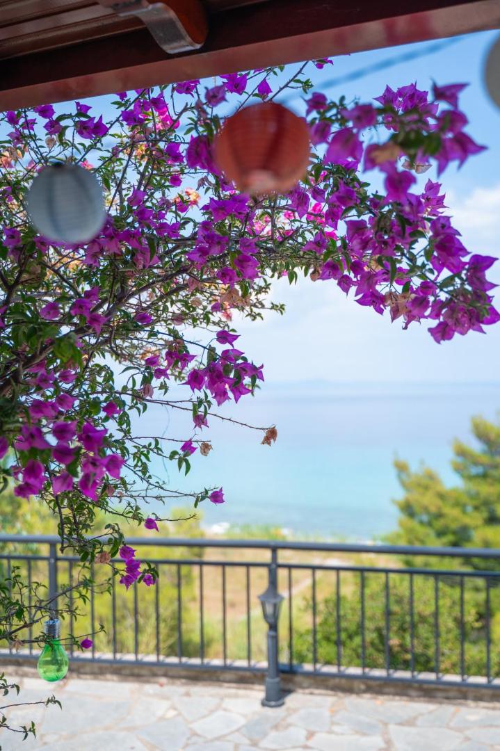 Kuva 9: First in the sea with amazing view house