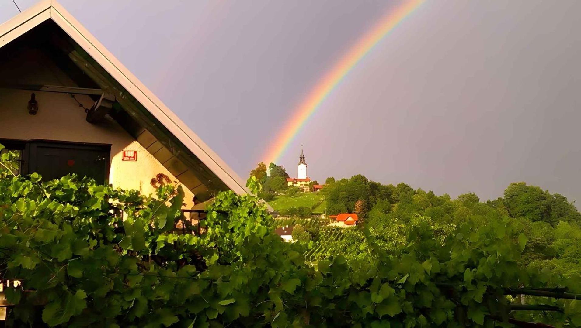 Foto 6: Studio in Novo mesto - dostava - Kranjska Krain 26035