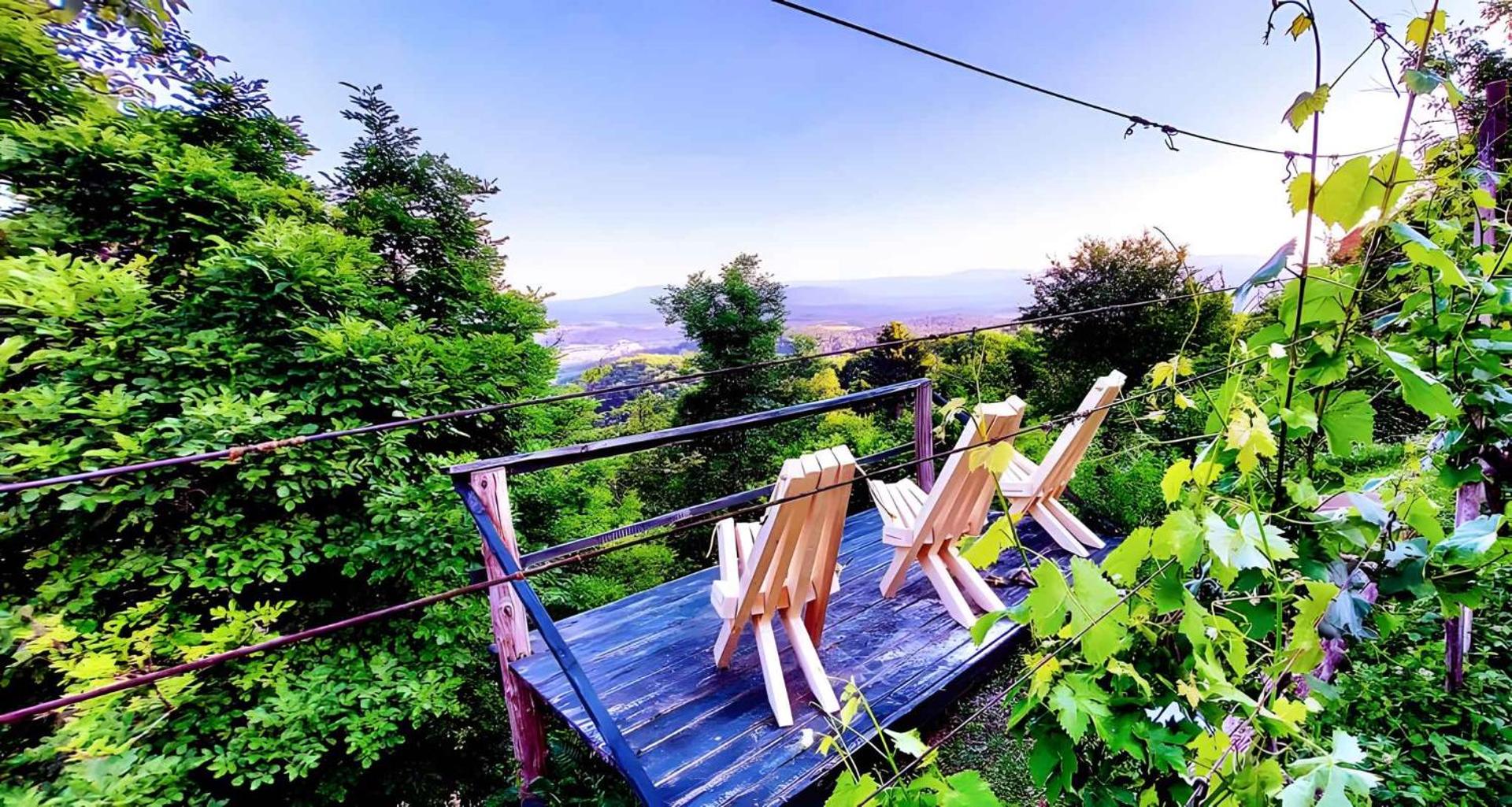 Foto 7: Studio in Novo mesto - dostava - Kranjska Krain 26035