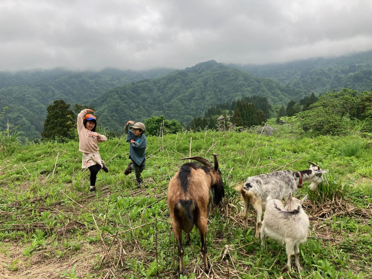 わくわく自然体験の宿ゲストハウス山楽的照片3